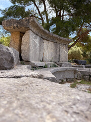 Stone bench and slab structures among ruins in Olympia, Greece, with pine trees overhead and...