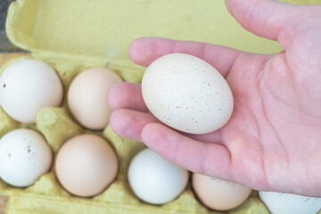 Fresh Organic Egg in Hand with Carton of Farm Eggs in Background