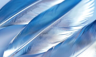 Soft blue and silver feathers linear textures shimmering light abstract background