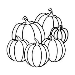border of various pumpkins black line drawing