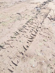 car tire marks on wet sand