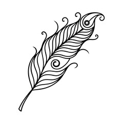 peacock feather in continuous line drawing style