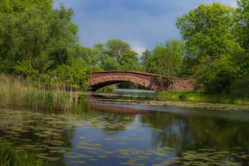 bridge over the pond