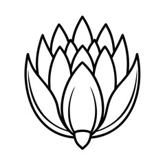 protea flower line art 