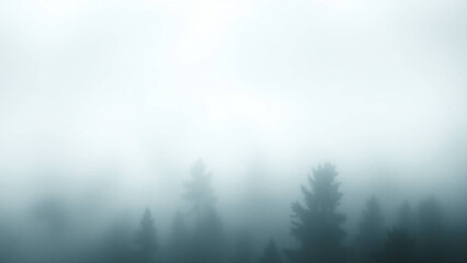 Naklejka premium fog in the forest