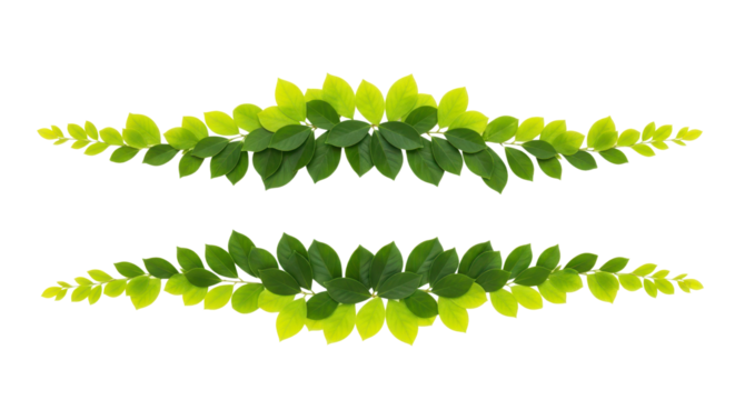 Decorative natural green leaf borders for graphic design elements isolated PNG with Transparent Background