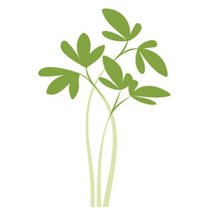 Obraz premium Minimalist illustration of microgreens cress pods green