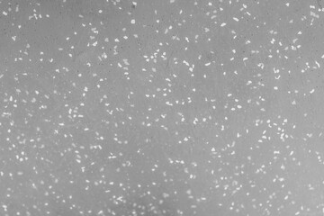An abstract grey background with scattered white and light grey speckles