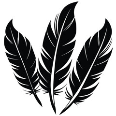 Obraz premium Serene Silhouette of Bird Feathers Captured in Isolation