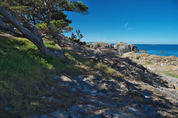 島根県出雲市の夏の日御碕灯台