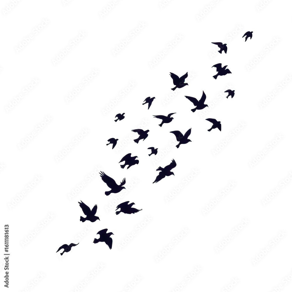 Poster a flock of birds silhouetted against a black background in a diagonal upward motion pattern design