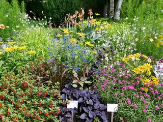 Bauerngarten im Botanischen Garten 