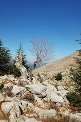 The panorama from Tahtali mountain, Antalya provence, Turkey	