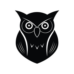 owl on a white background