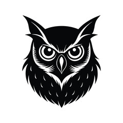 owl on white background