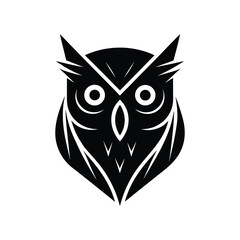 owl on white background