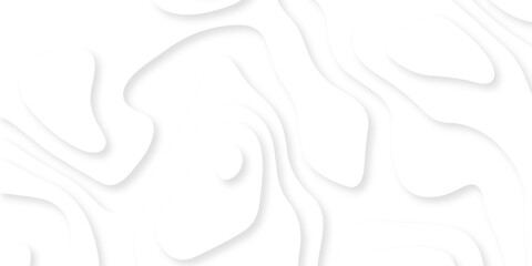 The patter discovery vector white papercut creative discovery White wave grid stripe light decoration luxury banner web design.	