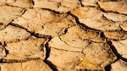 Dried Earth: A macro view of cracked earth, capturing the raw textures and intricate patterns formed by aridity, offering a visual narrative of drought and environmental concerns.