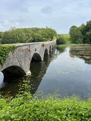 Fototapeta premium Stackpole Brücke Lily Ponds