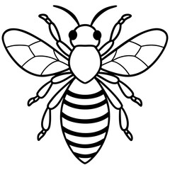 Honey Bee Outline Vector Design