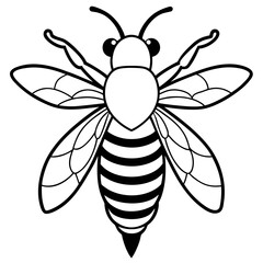 Honey Bee Outline Vector Design
