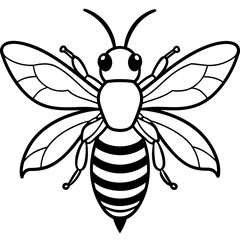 Honey Bee Outline Vector Design