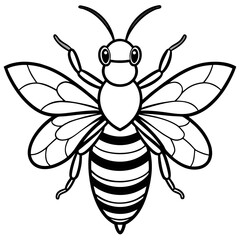 Honey Bee Outline Vector Design