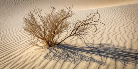 Nature's resilience on a sun-soaked desert landscape showcasing patterns and shadows at golden hour Generative AI