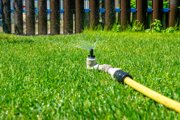 Garden irrigation: water sprinkler on a summer lawn.