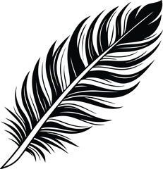 Obraz premium Feather Isolated on White Background