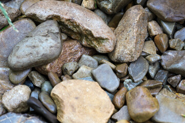 This photograph displays a dense arrangement of various river stones of different sizes and shapes. Their smooth, wet surfaces indicate they have been water-worn, creating a natural texture and color 