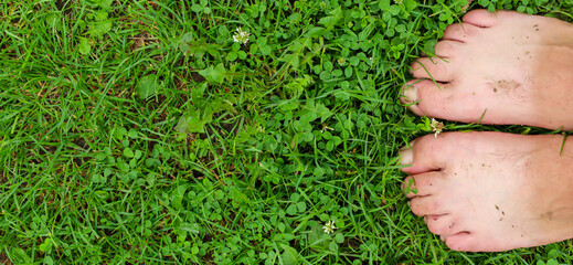 Two bare feet stand on bright green grass among white clover flowers. Dirt-stained soles convey the...