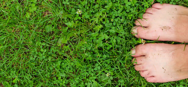 Two bare feet stand on bright green grass among white clover flowers. Dirt-stained soles convey the feeling of being in nature.
