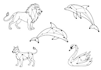 Captivating constellation animals lion dolphin dog swan starry outlines for creative projects