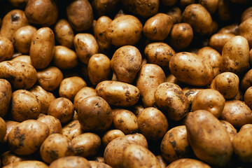 Fresh potato at small local urban market. Organic produce on sale at outdoor farmer market. Selling...