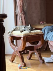 Tabby Kitten Sleeping on Vintage Stool in Sunlight