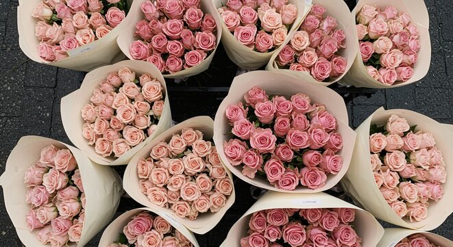 Abundant collection of freshly cut pink roses, meticulously wrapped in eco-friendly paper, creating a beautiful display for special occasions or everyday joy, perfect for floral businesses and events.