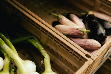 Fresh vegetables at small local urban market. Organic produce on sale at outdoor farmer market....