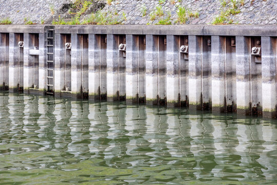 Concrete retaining wall with metal sheet pile wall reflecting in green water