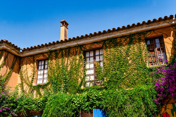 A charming, weathered terracotta-colored building with wooden windows, overgrown with climbing...