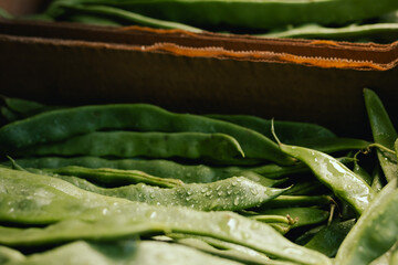 Fresh string beans at small local urban market. Organic produce on sale at outdoor farmer market....