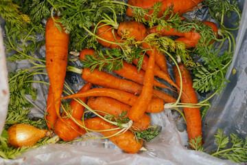 Fresh vegetables at small local urban market. Organic produce on sale at outdoor farmer market....