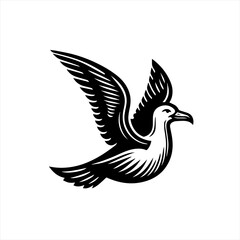 Obraz premium Seagull flying with wings spread