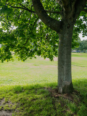 Obraz premium Edinburgh, Scotland, United Kingdom