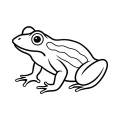 Fototapeta premium A frog line art vector illustration on white background