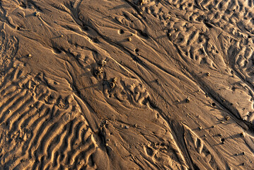 Detailansicht des Watts bei Niedrigwasser bzw. Ebbe mit Fußspuren und Abflussrinnen des Meerwassers bei schrägem Sonnenlicht