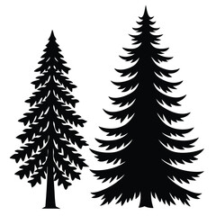 Obraz premium Silhouetted Spruce and Fir Trees Isolated on White Background