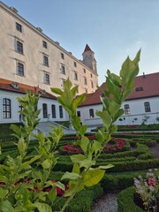 Bratysława - Słowacja - stolica kraju, stare miasto i centrum i zamek © Konrad