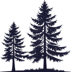 Fototapeta premium Two dark evergreen trees silhouetted against a white background