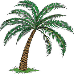 Vibrant green palm tree with textured trunk and lush fronds